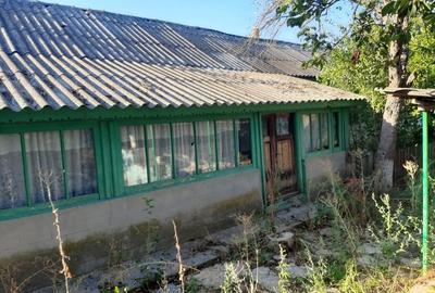 Casă în Enisala - 2