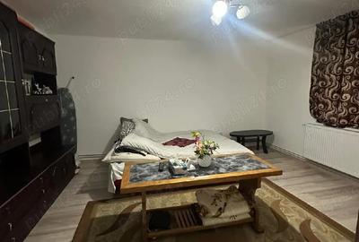 Casă cu 2 camere în Satchinez - 5