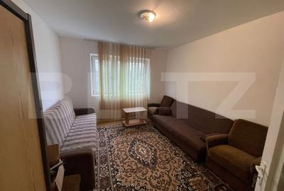 Garsonieră semidecomandată, mobilată în Valea Rosie