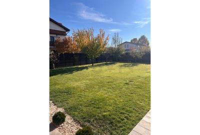 REV2001281 Vila de lux - Otopeni - Penny Odaile - Ambasador Events - 13