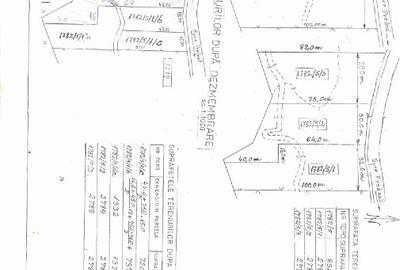 Teren Construcții intravilan de 2789 mp, în Cabana Vânătorilor - 1