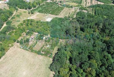 Teren Construcții intravilan de 1200 mp, în Paleu - 2