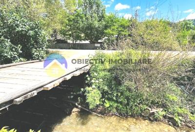 CASA traditionala BICAZU ARDELEAN + teren extravilan 1,6 hectare - 12