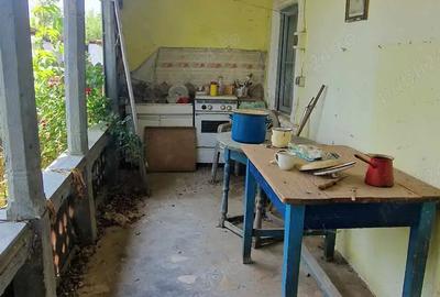 Casă cu 3 camere cu Teren 1853 Mp în Devesel - 8