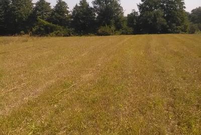 Teren Construcții intravilan de 5000 mp, în Uiasca - 3