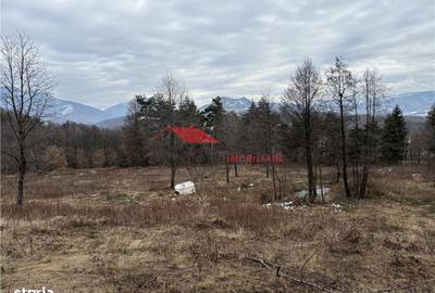 Spațiu comercial, în Prundu Bârgăului - 7