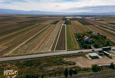 Teren Construcții intravilan de 7500 mp, în Cernat - 2