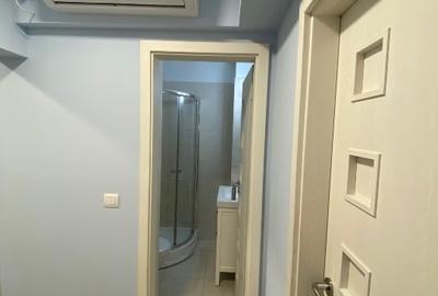 De vanzare apartament 3 camere Bdul Basarabia, semistradal - 10