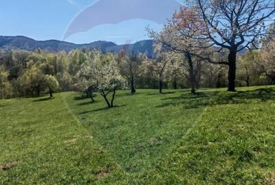 Teren Construcții intravilan de 10279 mp, în Predeluț - 8