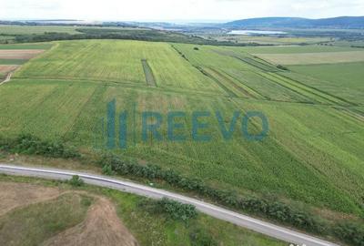 Teren de 3600 mp, în Racova - 6