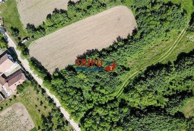 Teren intravilan 4600mp in Oarda de Sus - 3