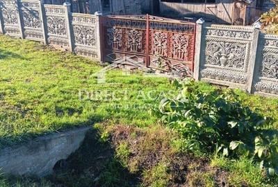 Casă cu Teren 15000 Mp în Central - 2