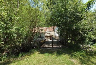 Casă cu 7 camere cu Teren 5000 Mp în Bulzeștii de Sus - 2