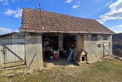 Casa cu farmec rustic, teren de 4887 mp - 5
