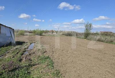 Teren de 2000 mp, în Lucian Blaga