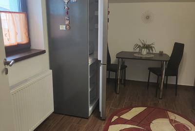 Garsoniera  tip studio Sanpetru Residence - 2