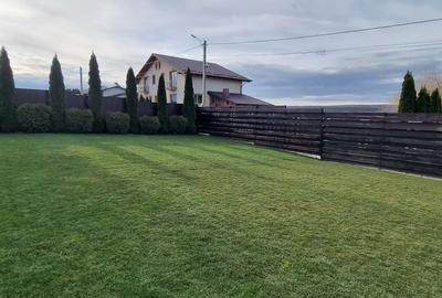 Casă cu 4 camere în Baisa - 4