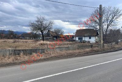 De vânzare teren intravilan în Pachia! - 3