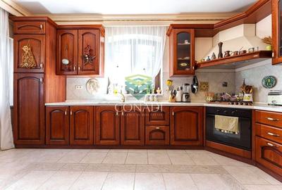 Iancu Nicolae, vila speciala cu 6 camere, 1621 mp teren, de vanzare - 10