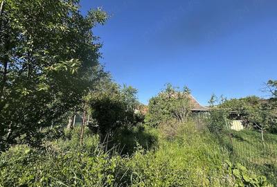 Casă cu Teren 954 Mp în Iosefin - 1