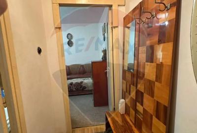 Apartament cu 2 camere semidecomandat în Valea Rosie - 2