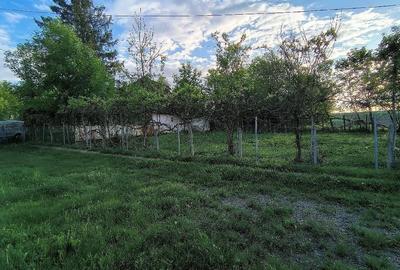 Casă cu 3 camere cu Teren 10 Mp în Central - 3