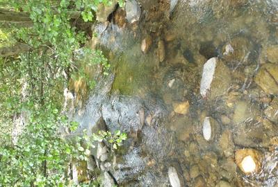 Casă individuală cu 5 camere cu Teren 470 Mp în Turnu Ruieni - 4