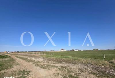 Spațiu comercial, în Giroc - 4