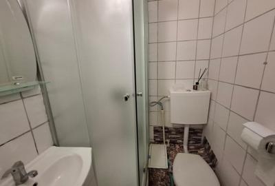 INCHIRIERE-CAMERA DE CAMIN-NICOLINA - 4