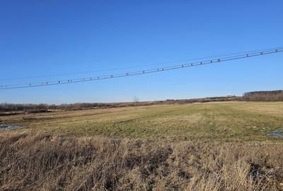 Teren extravilan - constructii, suprafata 49.933 mp, drumul E79, Beius - 7