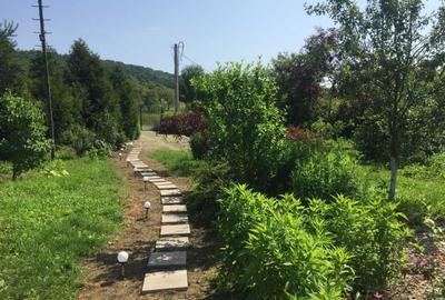 Teren Construcții intravilan de 4500 mp, în Baciu