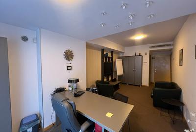 Apartament cu 3 camere decomandat, mobilat în Herăstrău - 14