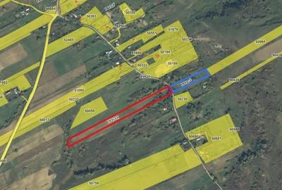 Teren Construcții intravilan de 30000 mp, în Bunghi - 5