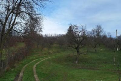 Teren de 5950 mp, în Scorțeni - 13