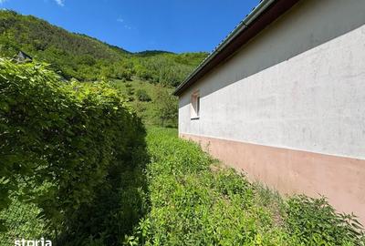 Casă cu 3 camere cu Teren 802 Mp în Șeica Mică - 2