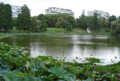 Apartament cu 3 camere semidecomandat, mobilat în Parcul Circului - 5