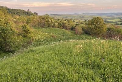 Teren de 11000 mp, în Retiș - 2