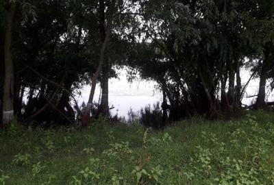 Spațiu comercial, în Uzlina - 9