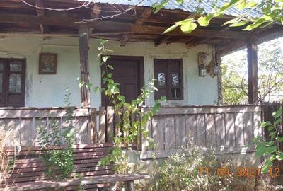 Casa taraneasca si teren comuna Murgasi sat Balota de Jos DJ Casa taraneasca si teren comuna Murgasi sat Balota de Jos DJ - 6