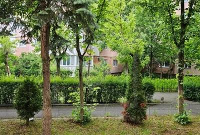 Apartament 2 camere langa Iulius Mall, zona linistita, Intre Lacuri