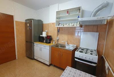 Inchiriere apartament 3 camere-Proprietar Teiul Doamnei - 3