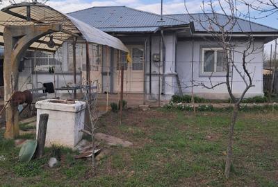 Casă cu 3 camere cu Teren 2373 Mp în Măldăeni - 7
