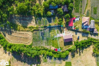 Casă cu 2 camere cu Teren 3100 Mp în Cornești - 10