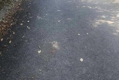 Teren de 1113 mp si casa batraneasca in comuna Mihaesti jude?ul Valcea - 6