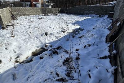 Spațiu comercial, în Trivale - 2