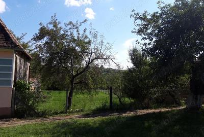 Casă cu 3 camere cu Teren 1000 Mp în Daia (Apold) - 2