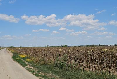 Teren Construcții intravilan de 33000 mp, în Exterior Sud - 6