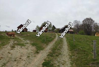 Casă cu Teren 30 Mp în Arieșeni - 4