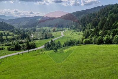 Teren intravilan de 10000 mp, în Brădet - 5