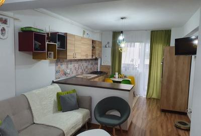 Apartament cu 2 camere semidecomandat în Dosu Bricii - 3
